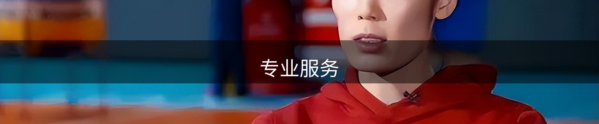 专业服务