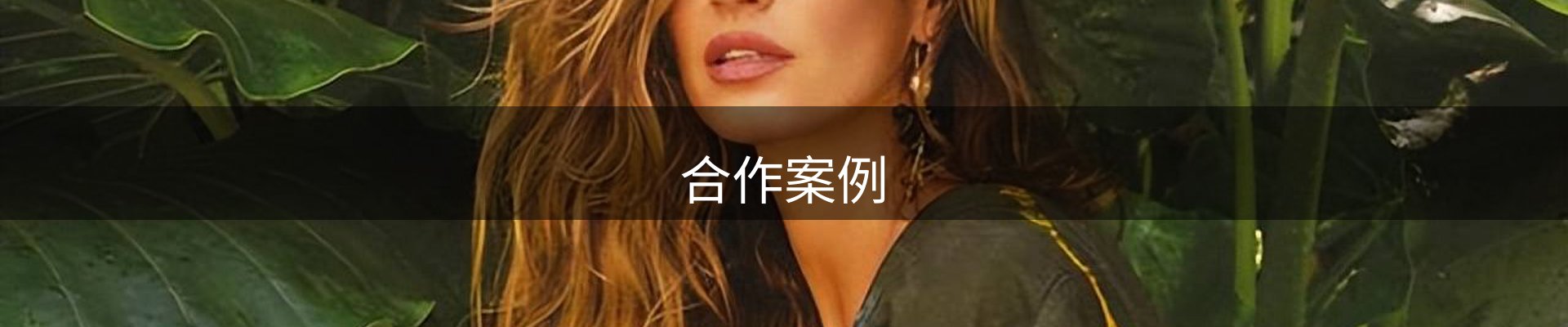 合作案例