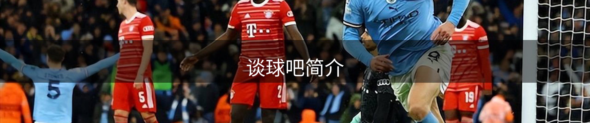 谈球吧简介